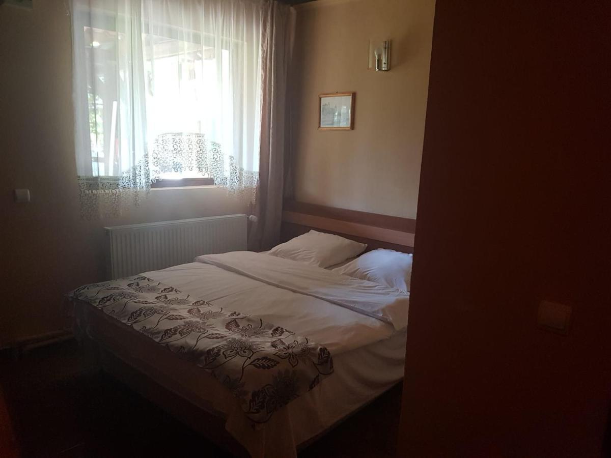 Vila Sura Razoare Сигишоара Экстерьер фото