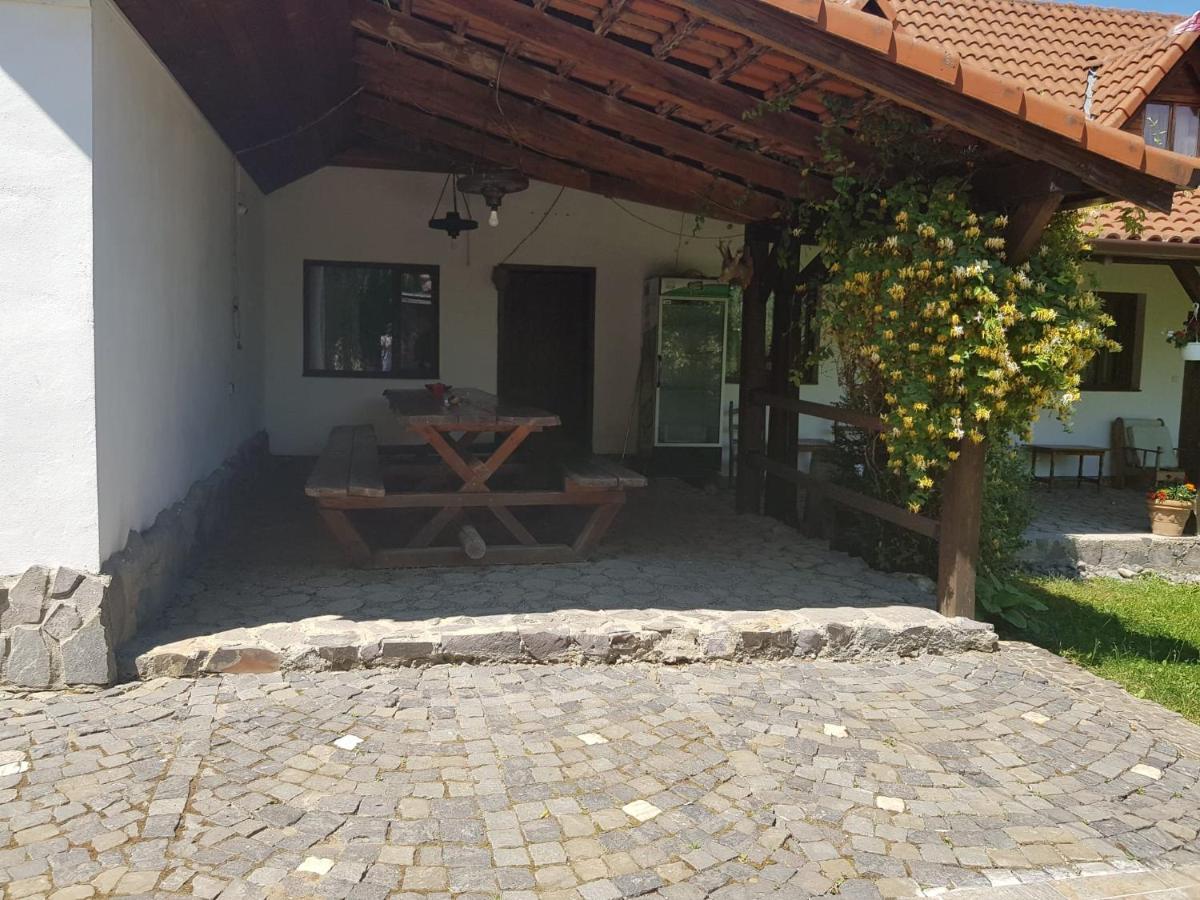 Vila Sura Razoare Сигишоара Экстерьер фото