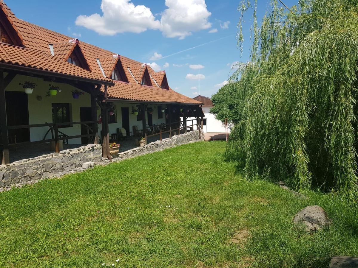 Vila Sura Razoare Сигишоара Экстерьер фото
