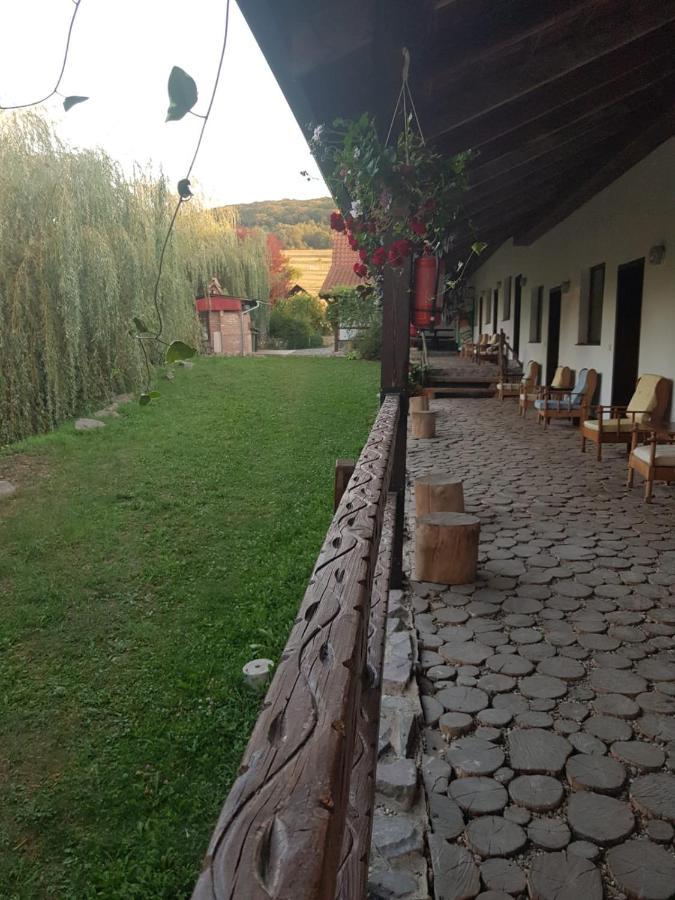Vila Sura Razoare Сигишоара Экстерьер фото
