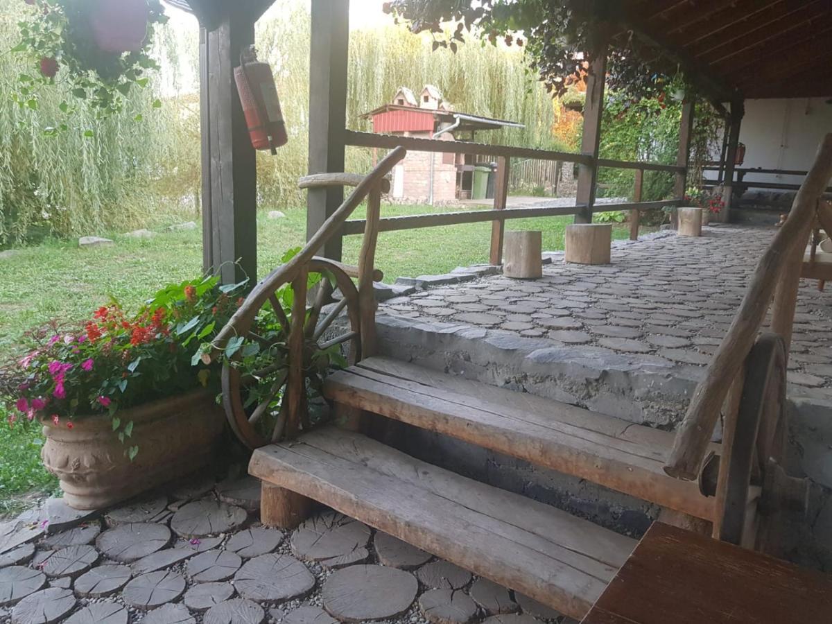 Vila Sura Razoare Сигишоара Экстерьер фото