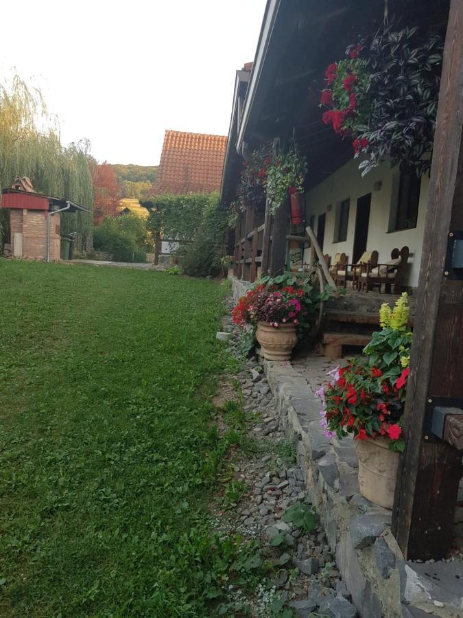 Vila Sura Razoare Сигишоара Экстерьер фото
