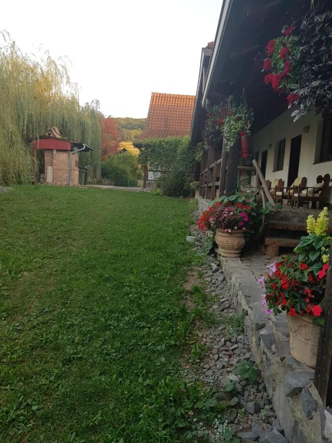 Vila Sura Razoare Сигишоара Экстерьер фото
