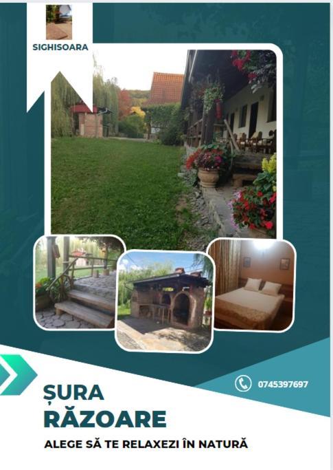Vila Sura Razoare Сигишоара Экстерьер фото